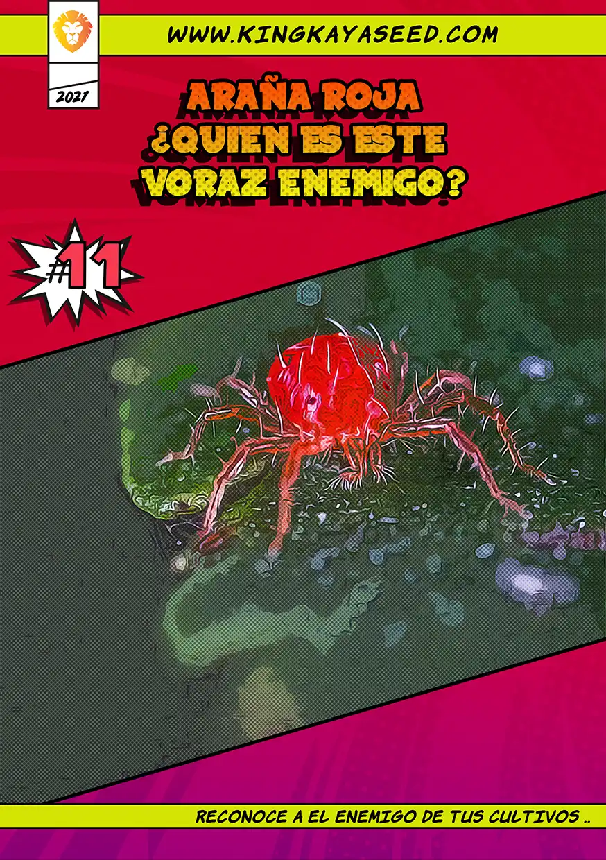 Araña Roja ¿Quién Es Este Voraz Enemigo?