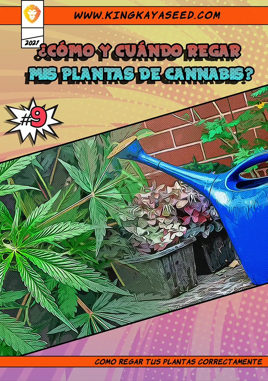 ¿Cómo y Cuándo Regar Mis Plantas de Canabis?